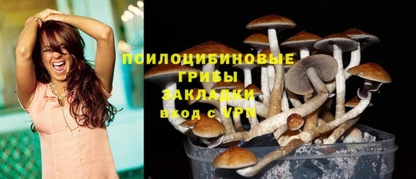 гидра Армянск